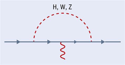 An anomalous moment for the muon – CERN Courier