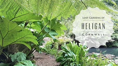 Secret Gardens Of Heligan Cornwall | Fasci Garden