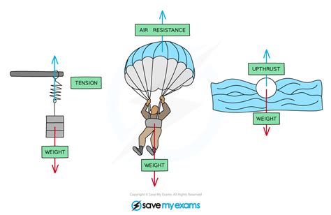 IB DP Physics: SL复习笔记2.2.1 Free-Body Diagrams-翰林国际教育