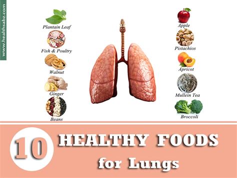 Healthy Lungs: Stay Clean Inside. National Institute of Health by ...