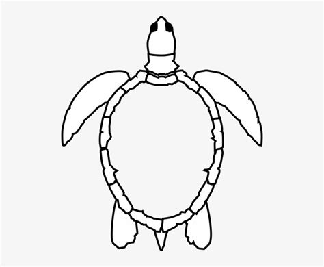 Turtle Outline Images : Turtle art, green sea turtle drawing, turtle ...