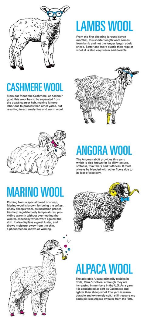 Pin by Mary Crosby on i want to raise sheep | Pinterest | Wool ...