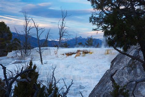 Mammoth Hot Springs • Rockies • Julian Bunker Photography