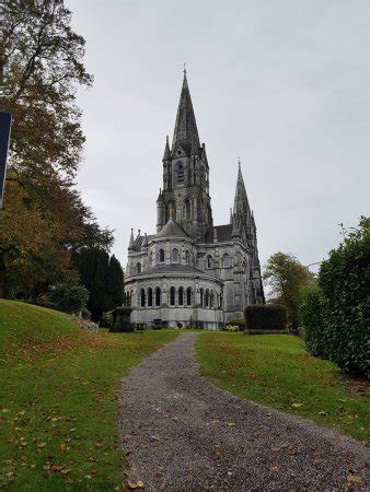 St Fin Barre's Cathedral, Cork - TripAdvisor