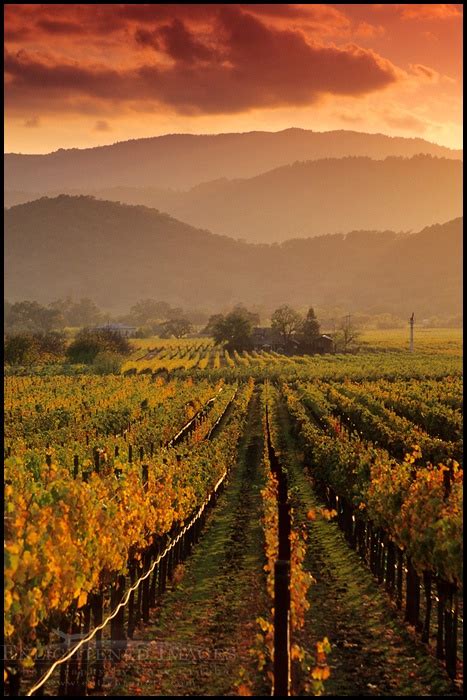 29 best California Wine Country images on Pinterest | California wine ...