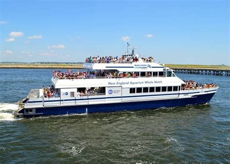 7 Family-Friendly Things to Do in Boston on the Water - New England