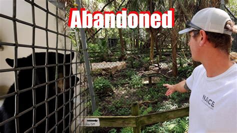 We Found An Abandoned ZOO!!! - YouTube