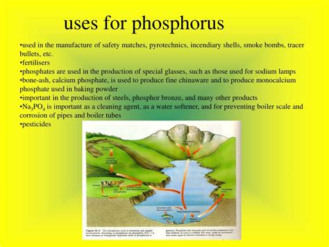 PPT - Phosphorus PowerPoint Presentation, free download - ID:1826244