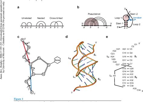 RNA Folding | Semantic Scholar