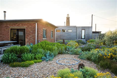 Gravel gardens: how to create a gravel garden - Gardens Illustrated