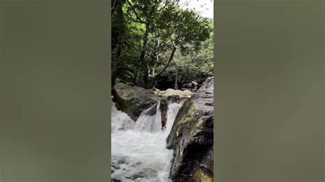 A largest waterfalls near Narsipatnam area | golugonda mandalam - YouTube