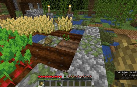 How to Plant Seeds and Grow Crops in Minecraft (2022 Guide) | Beebom