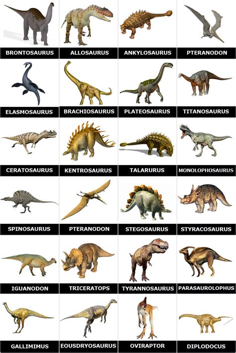 Printable Dinosaur Pictures With Names