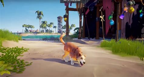 Sea Of Thieves Is Getting Dogs In Next Major Update