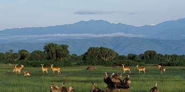 Queen Elizabeth National Park – Travel Guide, Map & More!