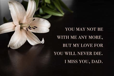 40+ Miss You Dad Quotes, Poems, and Messages | Shutterfly