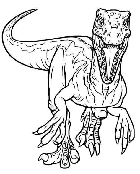 Velociraptor Coloring Page