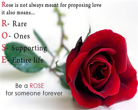 Rose Day Quotes HD Wallpapers 12742 - Baltana