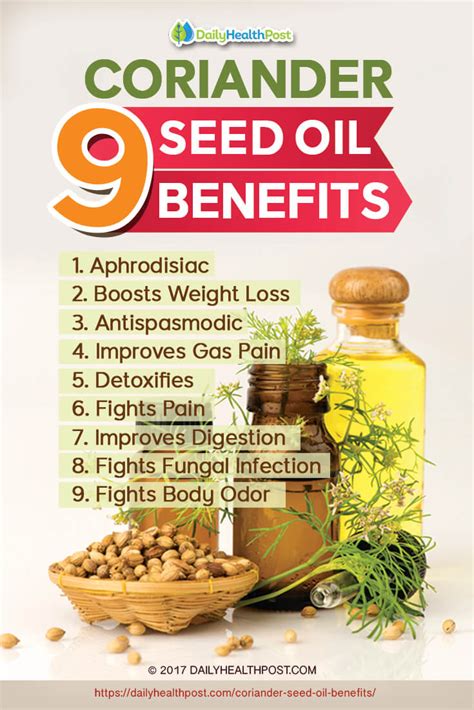 The Many Benefits Of Coriander Seed Oil And How To Use It