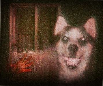 Smile Dog (smile.jpg) | Deutsches Creepypasta Wiki | FANDOM powered by ...