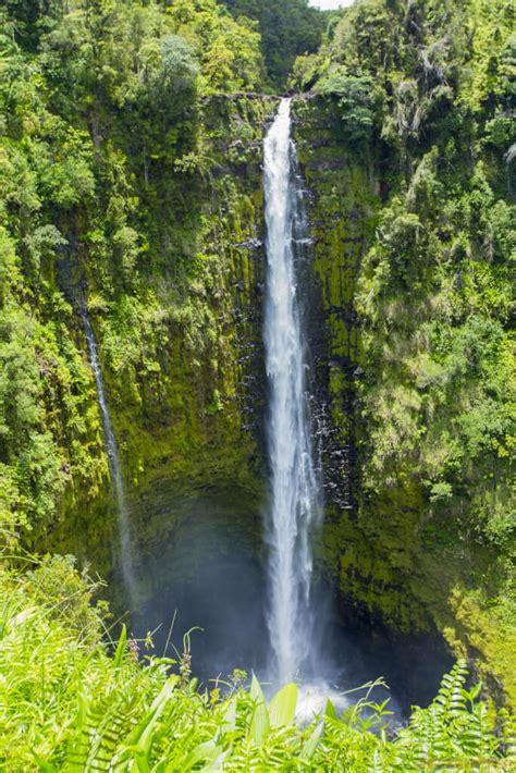 Akaka Falls State Park - Jeffsetter Travel