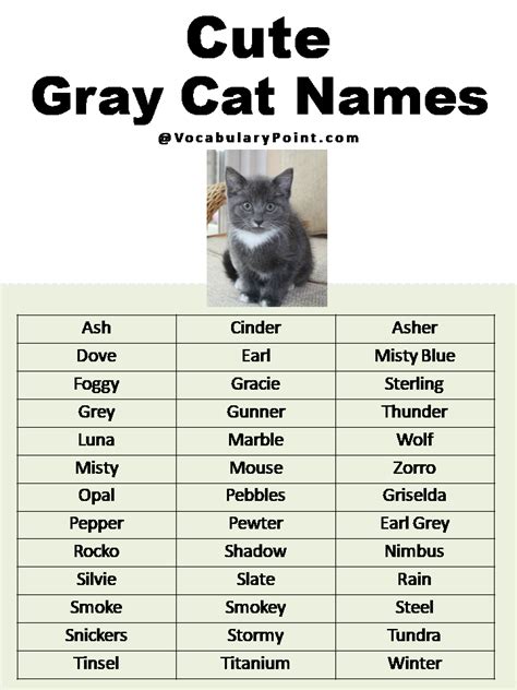 Pin On Cat Names Cat Name Ideas And Inspiration, 59% OFF