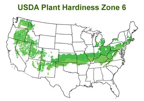 Garden Planting Schedule Zone 6 | Fasci Garden