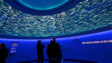 The Best Hotels Closest to Monterey Bay Aquarium in Monterey for 2021 ...