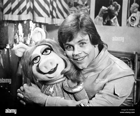 THE MUPPET SHOW, Miss Piggy, Mark Hamill, (Season 4, aired February 21 ...