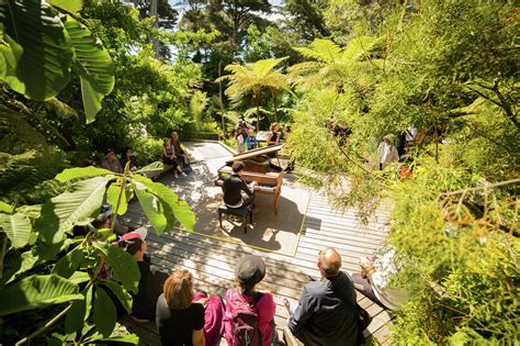 San Francisco Botanical Garden: A guide to the urban oasis