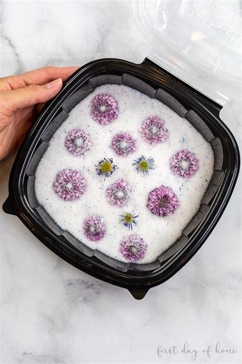 How to Use Silica Gel for Drying Flowers: Complete Guide