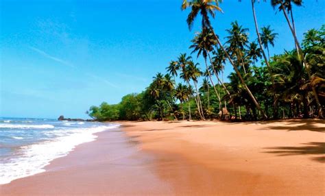 Ankobra Beach is perfect for relaxing in solitude on a palm tree lined ...