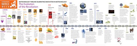 Timeline Of Agriculture