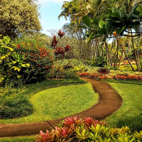 A Visit to Dole Plantation: Pineapple Paradise - Aloha Lovely