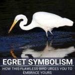 Unveiling The Egret Meaning: Grace, Purity, Transformation