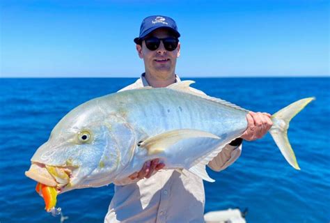 Scott Species - golden trevally, hard-fighting and determined beasts ...