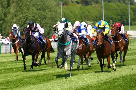 Types Of Horse Races