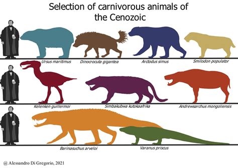 Giant Cenozoic land predators : r/Naturewasmetal