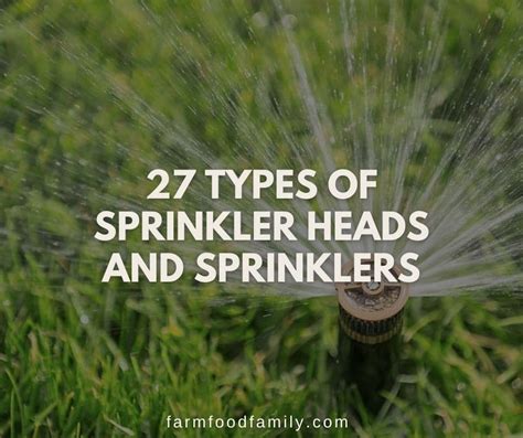 27 Types of Sprinkler Heads and Sprinklers: Which One Is Right for You?