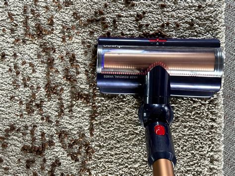 Dyson Gen5 Detect: Test des neuen Akku-Staubsaugers im Alltag ...