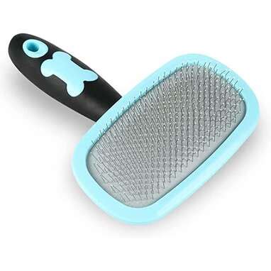 Best Short Hair Dog Brushes For A Healthy Coat - DodoWell - The Dodo