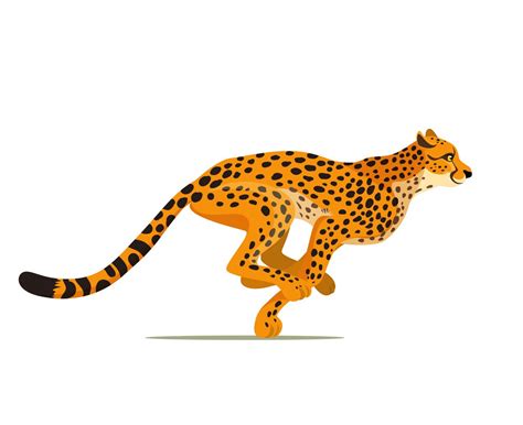 cheetah - Clipart World