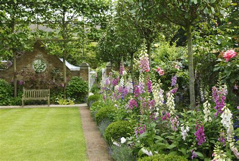 Monty Don shares his tips for growing foxgloves – enjoy success with ...