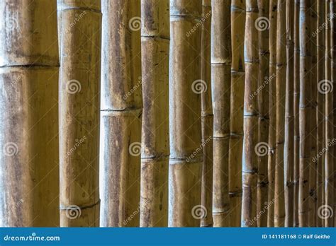 Natural Texture of Bamboo Sticks Stock Photo - Image of background ...