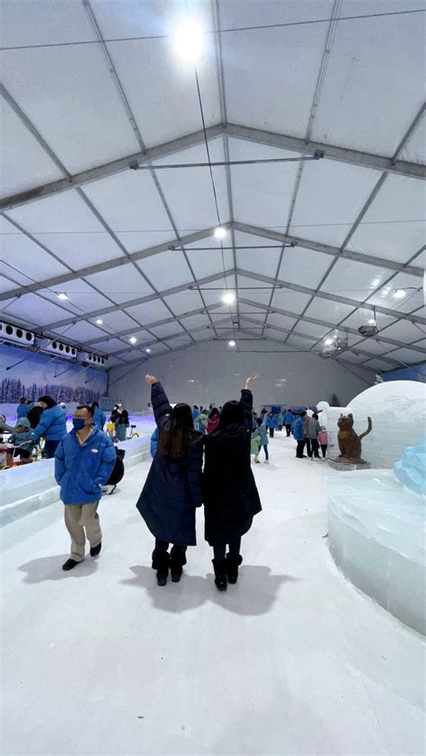 Is Ice Magic, the winter-themed Bayfront attraction, worth the visit ...