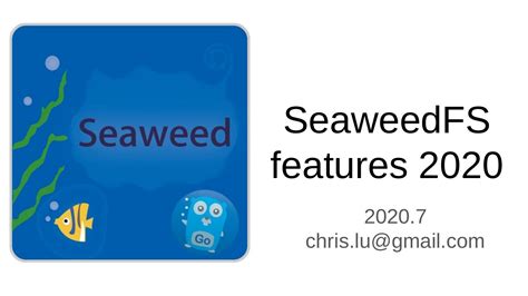 2020 SeaweedFS 简介