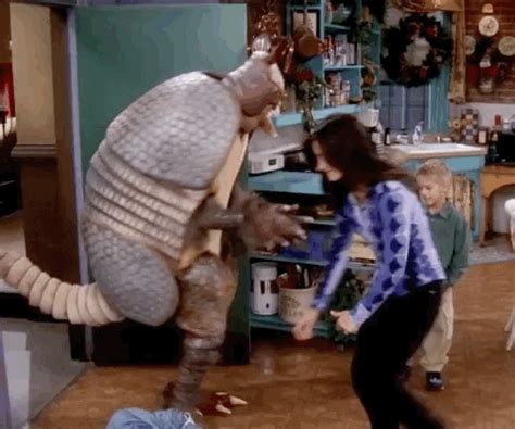 The One With The Holiday Armadillo GIFs - Get the best GIF on GIPHY