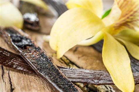 What Are Vanilla Beans? Exploring Nature's Flavor Gems - Kitchenous