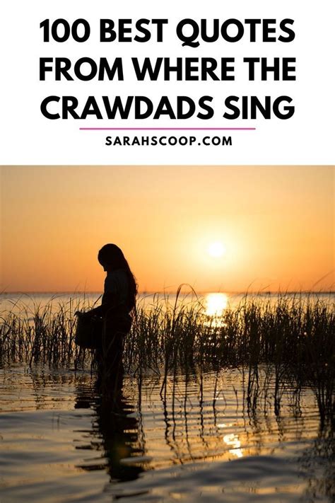 100 Best Where the Crawdads Sing Movie Quotes in 2022 | Sing movie ...