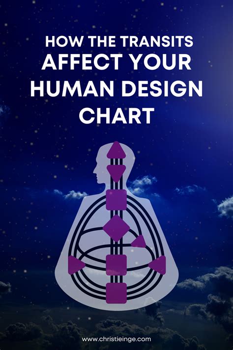 How Human Design Transits Affect Your Chart | Human design, Human, Design